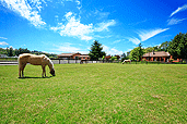 Equine properties for sale in Kansas